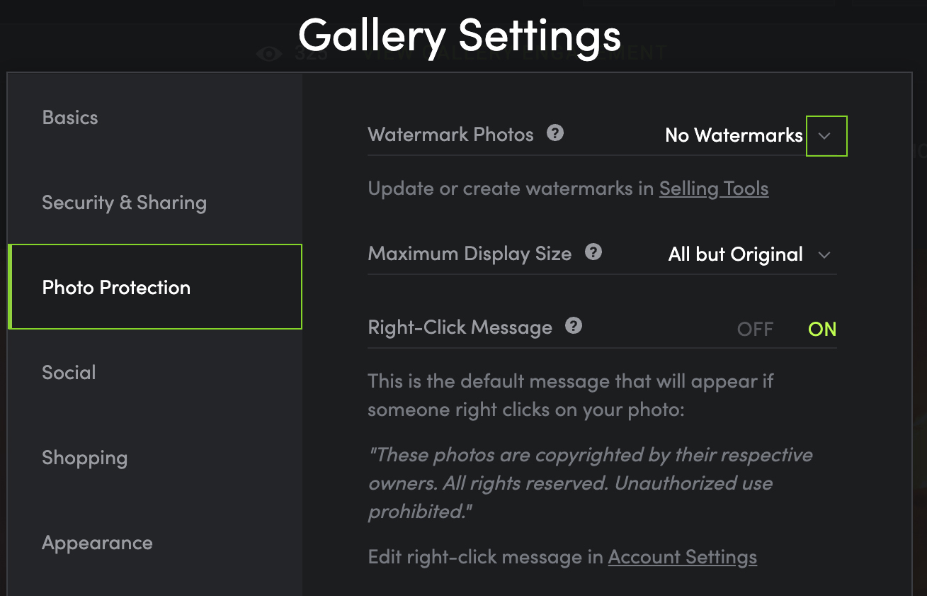 Gallery Settings Photo Protection 2023-04-14 at 6.24.10 AM copy.jpg
