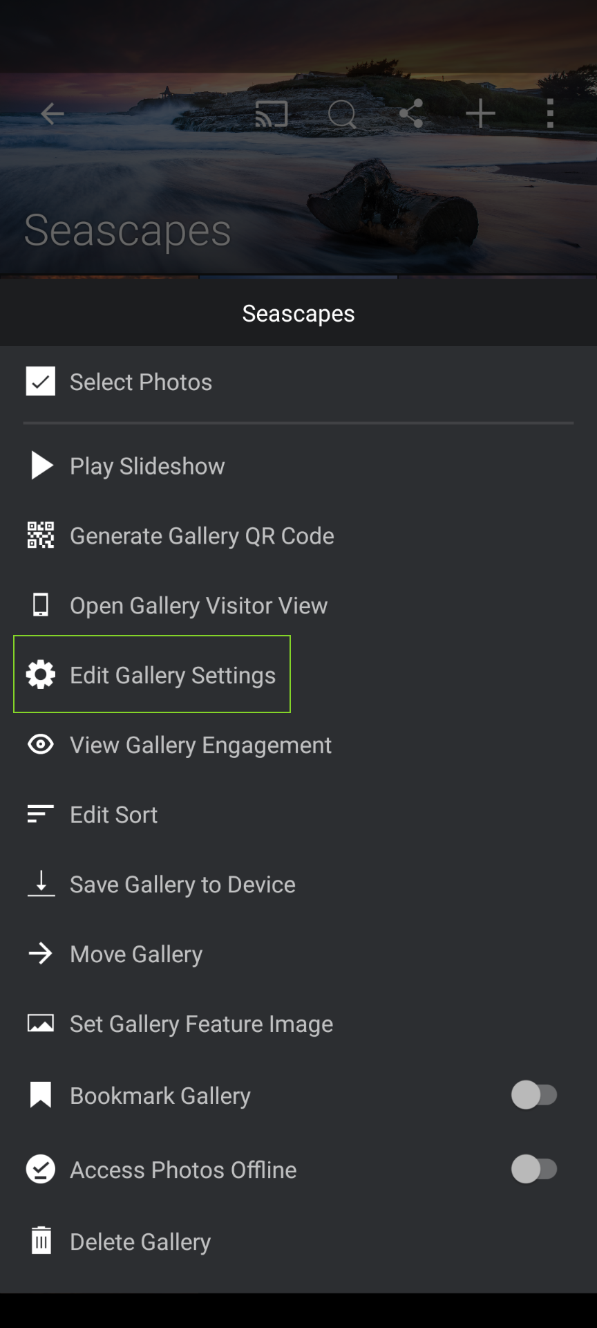 edit gallery settings gallery over flow.png