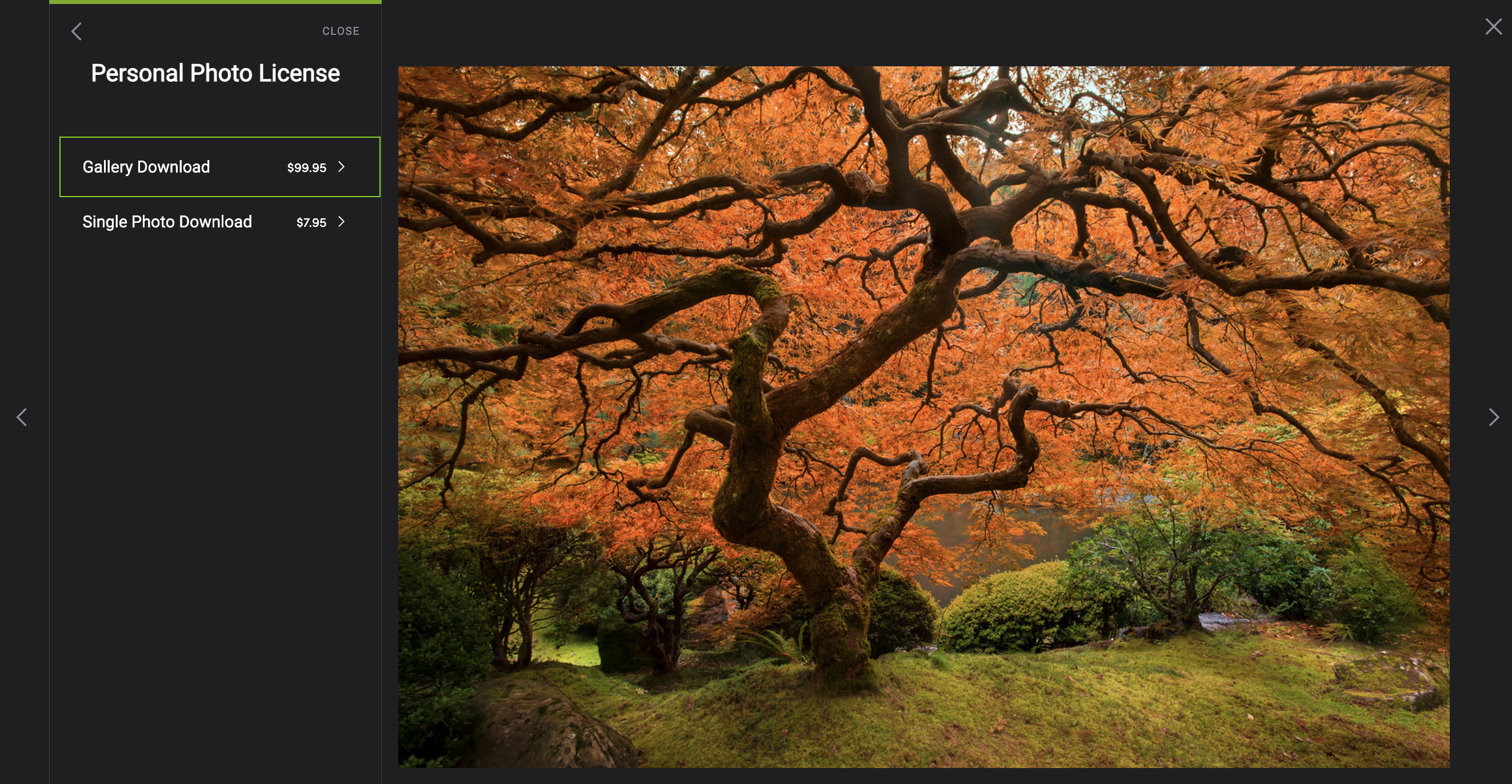 Gallery download buying flow.jpg